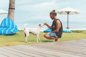 dog food for skin allergies for dogs with weight problems