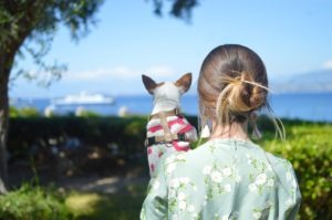 what is the best hypoallergenic dog food without causing gas